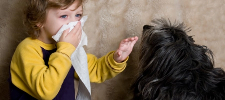 Imagem do post Alergia respiratória infantil tem cura? Saiba como ajudar seu filho
