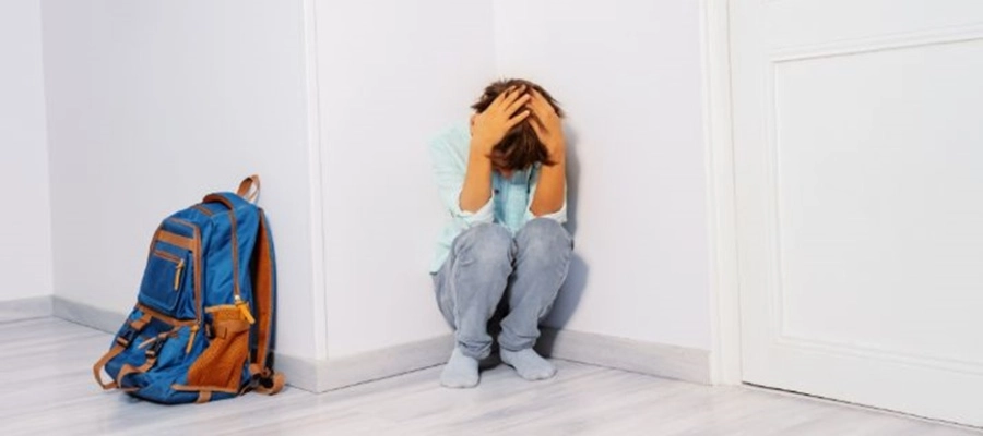 Imagem do post Como ajudar vítimas de bullying infantil? 